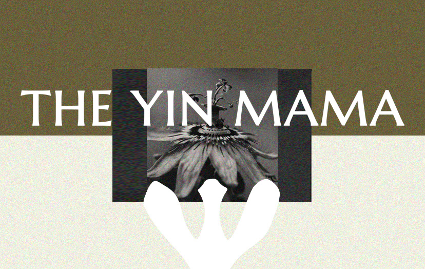 The Yin Mama logo mark on a warm terracotta lifestyle photograph